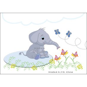 Baby Elefant Dreng